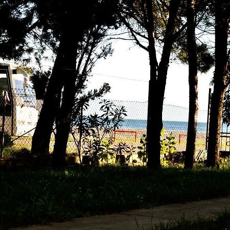 Vila Branka Canj Bagian luar foto