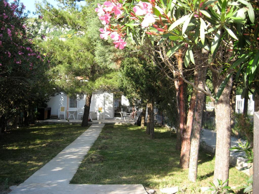 Vila Branka Canj Bagian luar foto